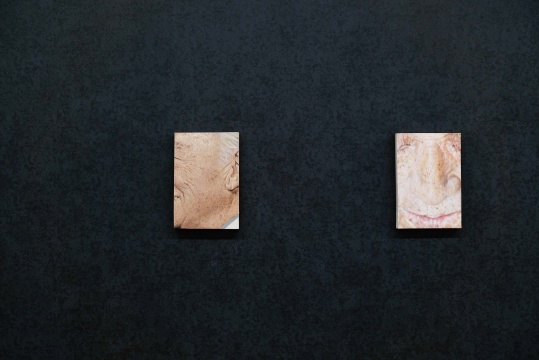 世纪大难题“绘画如何观看”?泰康空间新展“绘画无声”勇敢地给出了回答 世纪大难题“绘画如何观看”?泰康空间新展“绘画无声”勇敢地给出了回答