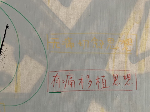 “中国艺术家精神病专科”真的落成了,我整个人目瞪口呆 “中国艺术家精神病专科”真的落成了,我整个人目瞪口呆