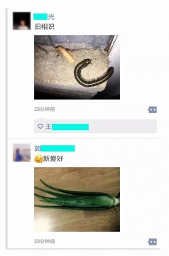 手机玩我 《算法浪漫》尺寸可变 网络截图 尺寸可变 2019-2021
手机玩我 《算法浪漫》尺寸可变 网络截图 尺寸可变 2019-2021