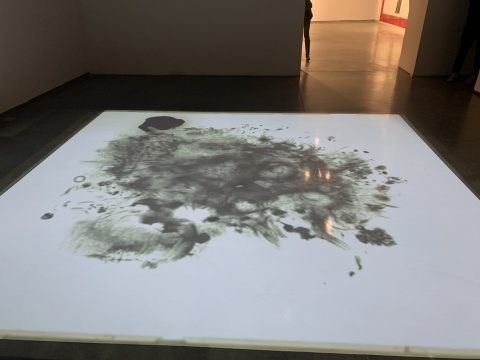 一场让你开眼界的梦幻之旅,银川当代美术馆2021开年双展 一场让你开眼界的梦幻之旅,银川当代美术馆2021开年双展