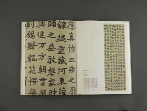 《徐悲鸿全集》 封面及内影
《徐悲鸿全集》 封面及内影