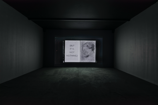 威廉·肯特里奇，《女预言家》，2020，单频彩 色有声高清影像，9 分 59 秒。图片由 UCCA 尤伦斯当代艺术中心提供。

 
