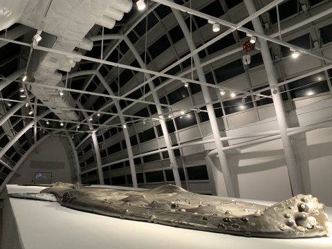 “世纪·浪潮”艺术邀请大展开幕,这次再没有理由不去海花岛了 “世纪·浪潮”艺术邀请大展开幕,这次再没有理由不去海花岛了