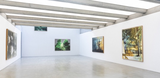 康海涛在偏锋画廊第四次个展,就像那曾路过的风景 康海涛在偏锋画廊第四次个展,就像那曾路过的风景