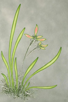 张超级 《痕迹-兰花》 150x225cm 亚麻布丙烯 2021
张超级 《痕迹-兰花》 150x225cm 亚麻布丙烯 2021