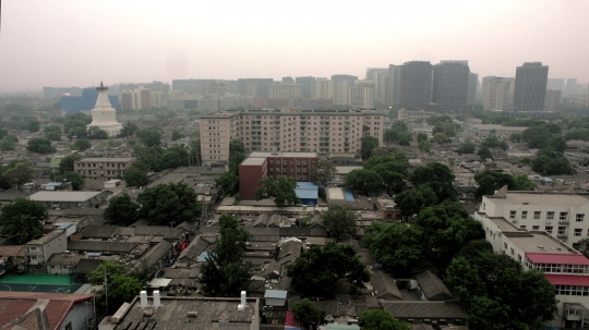 到东北去:“王拓:空手走入历史”在UCCA开幕 到东北去:“王拓:空手走入历史”在UCCA开幕
