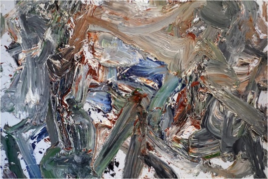 王易罡《M77》 170×255cm 布面油画 2021WechatIMG1635
王易罡《M77》 170×255cm 布面油画 2021WechatIMG1635