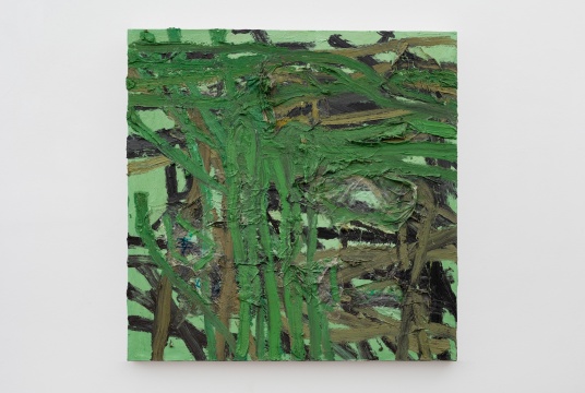 《线条》 布面油彩 塑料 120x120cm 2017
《线条》 布面油彩 塑料 120x120cm 2017
