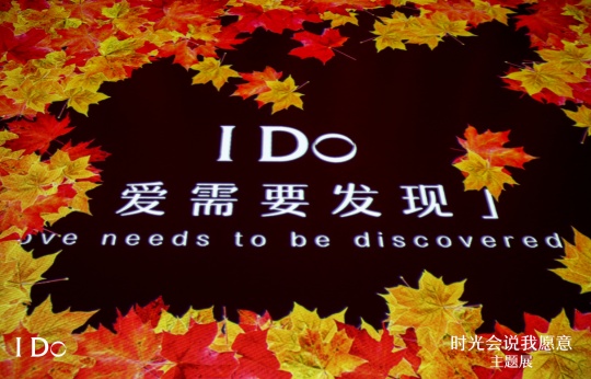 “爱需要发现”
“爱需要发现”