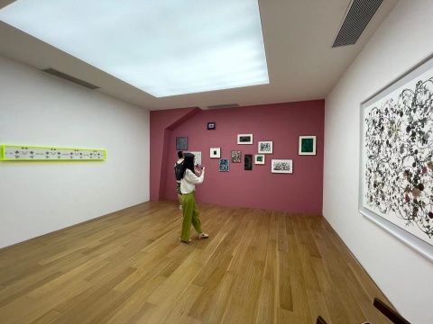 计洲“忍冬”展览现场
计洲“忍冬”展览现场
