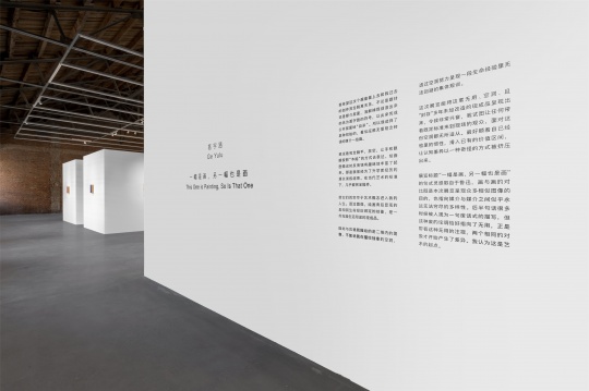 葛宇路个展“一幅是画,另一幅也是画”,北京公社展览现场
葛宇路个展“一幅是画,另一幅也是画”,北京公社展览现场