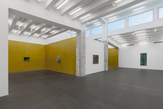 谢其在麦勒画廊首展,蝉鸣声中看“夏天过去了好几年” 谢其在麦勒画廊首展,蝉鸣声中看“夏天过去了好几年”