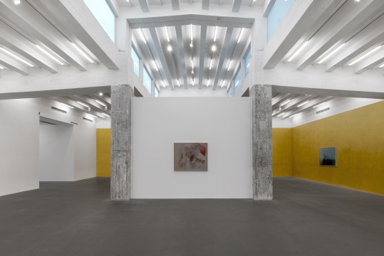 谢其在麦勒画廊首展,蝉鸣声中看“夏天过去了好几年” 谢其在麦勒画廊首展,蝉鸣声中看“夏天过去了好几年”