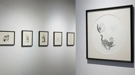 周童作品展览现场
周童作品展览现场