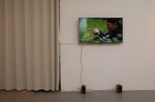 白蕾作品展览现场 白蕾作品展览现场