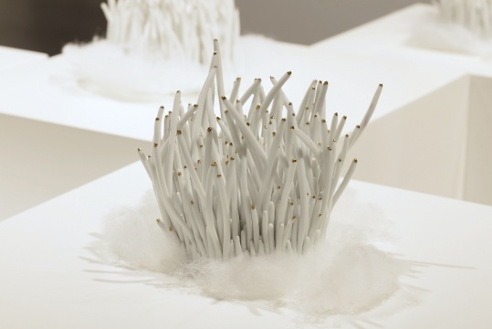 孙宇作品,林大艺术中心展览现场
孙宇作品,林大艺术中心展览现场