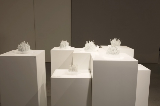 孙宇作品,林大艺术中心展览现场
孙宇作品,林大艺术中心展览现场