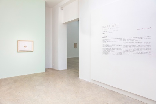 看完王玉平的新展“盐烤银杏”,我赶忙打捞了自己一下 看完王玉平的新展“盐烤银杏”,我赶忙打捞了自己一下