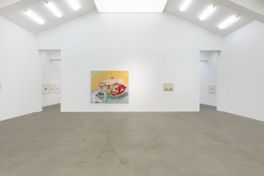 王玉平个展 “盐烤银杏” 站台中国当代艺术机构 展览现场
王玉平个展 “盐烤银杏” 站台中国当代艺术机构 展览现场