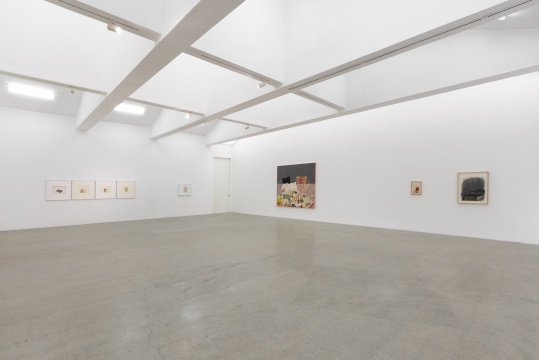 看完王玉平的新展“盐烤银杏”,我赶忙打捞了自己一下 看完王玉平的新展“盐烤银杏”,我赶忙打捞了自己一下