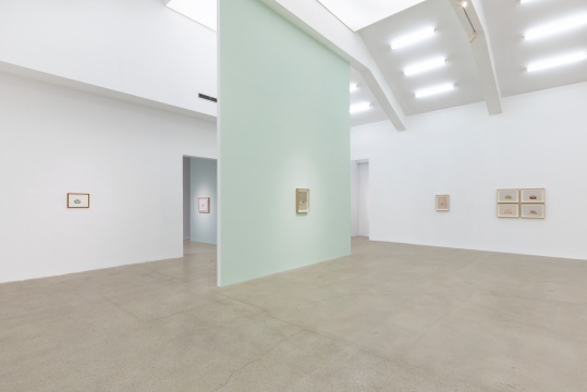 王玉平个展 “盐烤银杏” 站台中国当代艺术机构 展览现场 王玉平个展 “盐烤银杏” 站台中国当代艺术机构 展览现场