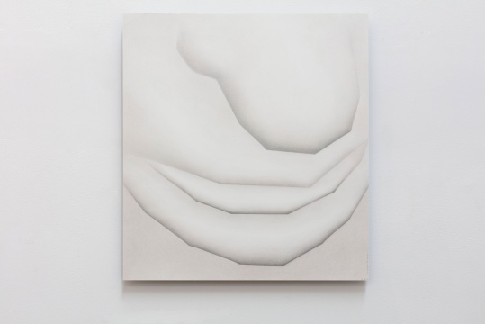 《脸的局部》 55.5x60cm 铝板上纸本石墨 2020
《脸的局部》 55.5x60cm 铝板上纸本石墨 2020