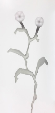 《圆形的花》200×100cm 铝板上纸本石墨 2018
《圆形的花》200×100cm 铝板上纸本石墨 2018