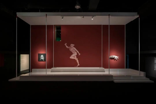 “意大利文艺复兴纸上绘画:一次与中国的对话”展览现场
“意大利文艺复兴纸上绘画:一次与中国的对话”展览现场