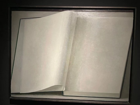 刘野 《书7号》 45×60cm 布面丙烯 2015
刘野 《书7号》 45×60cm 布面丙烯 2015