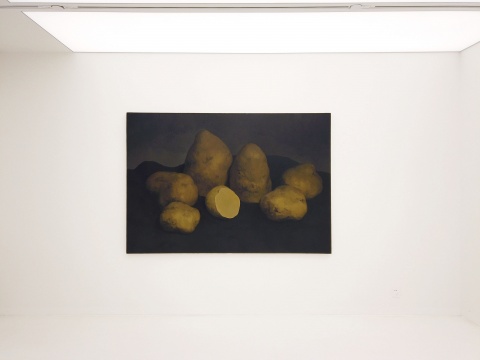 闫冰 《七个土豆》 150×220cm 布面油画 2016
