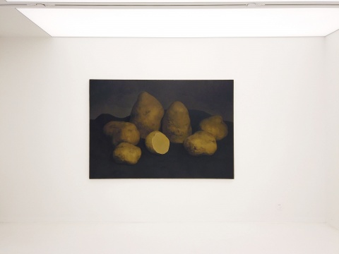闫冰 《七个土豆》 150×220cm 布面油画 2016
闫冰 《七个土豆》 150×220cm 布面油画 2016