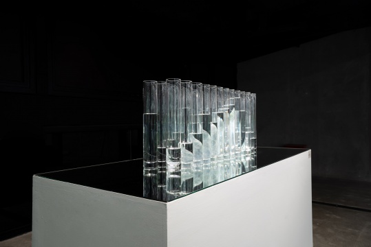 《双脊》 翡翠、玻璃杯、水 装置尺寸可变,40x90x24cm(翡翠)7700g 2021
《双脊》 翡翠、玻璃杯、水 装置尺寸可变,40x90x24cm(翡翠)7700g 2021