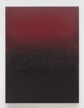 杨黎明 《暗红色书写系列》 280×215cm 布面油画 2020
杨黎明 《暗红色书写系列》 280×215cm 布面油画 2020