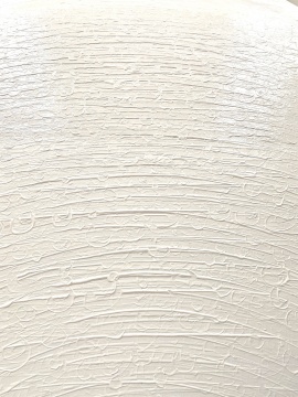 杨黎明 《灰白色系列》 100×81cm 布面油画 2020
杨黎明 《灰白色系列》 100×81cm 布面油画 2020