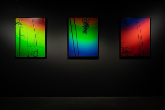 杨勋个展“隐香”于十竹斋艺术中心圆满开幕 杨勋个展“隐香”于十竹斋艺术中心圆满开幕