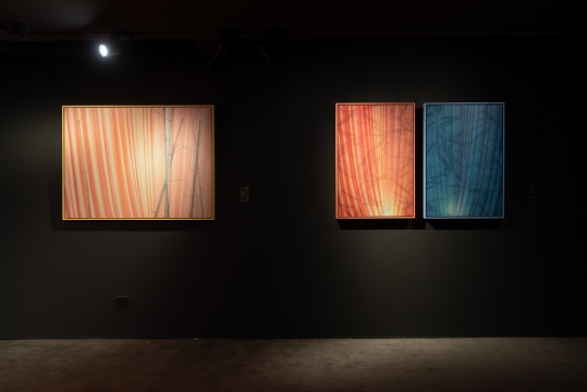 展览现场 展览现场