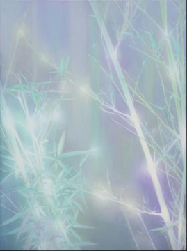 花火 No.2 80 x 60 cm 布面油画 2020 花火 No.2 80 x 60 cm 布面油画 2020