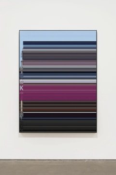 《无题 No. 11》199 × 152 × 5 cm 数码打印并裱于铝板 2018
《无题 No. 11》199 × 152 × 5 cm 数码打印并裱于铝板 2018