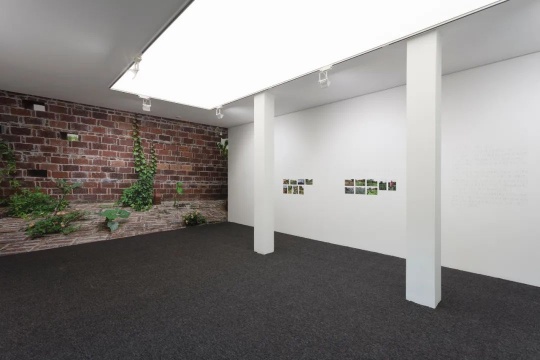 拾萬空间“自留地”展览现场
拾萬空间“自留地”展览现场