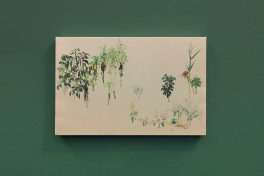 《自留地-看客》33×51cm 丝绸上国画,油性颜料 2020
《自留地-看客》33×51cm 丝绸上国画,油性颜料 2020