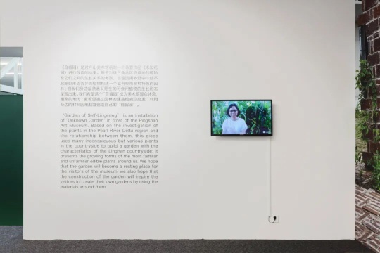 沈瑞筠:自留地 展览现场
沈瑞筠:自留地 展览现场