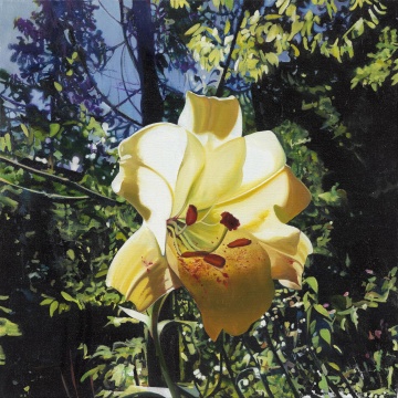 马文婷 《山谷里的百合花》 布面油画 90x90cm 2019
马文婷 《山谷里的百合花》 布面油画 90x90cm 2019