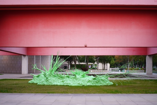 为死去植物树起纪念碑 杨心广个展亮相上海浦江华侨城