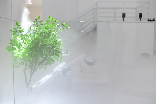 陈抱阳 作品展览现场
陈抱阳 作品展览现场