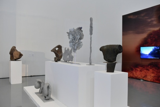 王思顺 作品展览现场
王思顺 作品展览现场