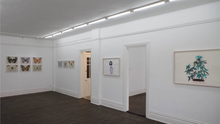群展“合唱团”第三辑现场 东画廊 2013 参展艺术家:胡子、王雁伶和玄卿(“合唱团”是东画廊专于推广年轻艺术家的年度项目)
群展“合唱团”第三辑现场 东画廊 2013 参展艺术家:胡子、王雁伶和玄卿(“合唱团”是东画廊专于推广年轻艺术家的年度项目)