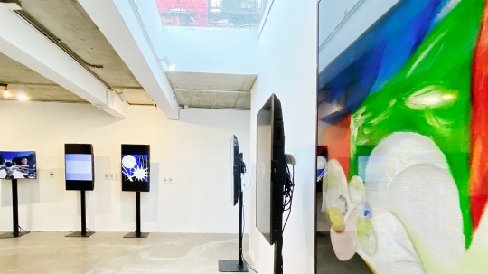 孙宇晨联合保利厦门推出数字艺术藏品快闪展 孙宇晨联合保利厦门推出数字艺术藏品快闪展