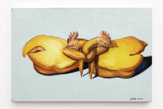 王兴杰 《两只烧鸡》 60×90cm 布面油画 2020
王兴杰 《两只烧鸡》 60×90cm 布面油画 2020
