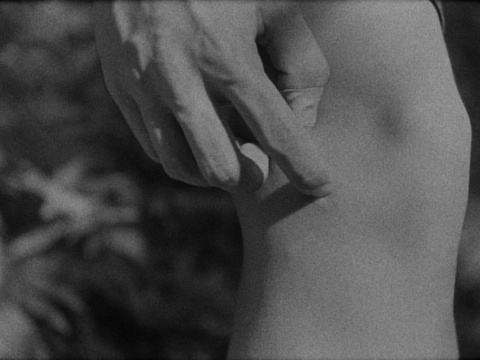 彭祖强，《瞥漏》(静帧)，单频16mm和超8胶片转录数字高清影像，12分07秒，2022。美凯龙艺术中心委任创作。

图片由艺术家及美凯龙艺术中心提供
