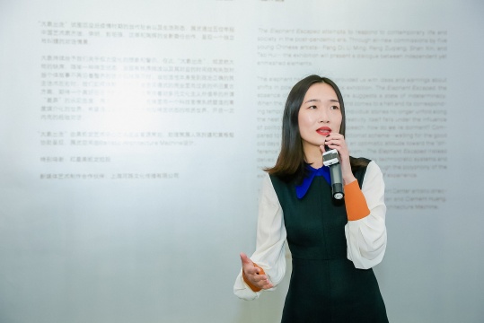 美凯龙艺术中心开馆展“大象出走”策展人富源在现场导览
